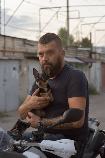 Funny portrait of a man holding a cute chihuahua dog. A bearded man hugs a small dog breed Chihuahua. man in a black T-shirt.