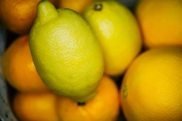Diferentes Cítricos Fondo Vista Superior Limones Naranjas —  Fotos de Stock