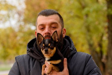 Sakallı ve chihuahua 'lı bir adam. Parkta sevgili evcil hayvanı kollarında bir adam. Köpekli adam.