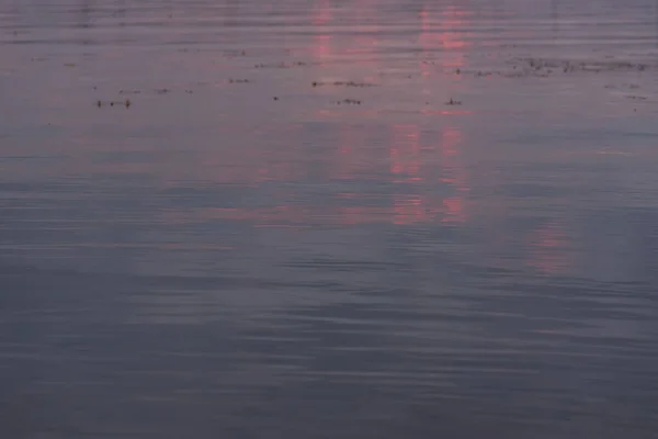 Водная Поверхность Градиентного Синего Розового Цвета Река Морская Вода Гладкий — стоковое фото