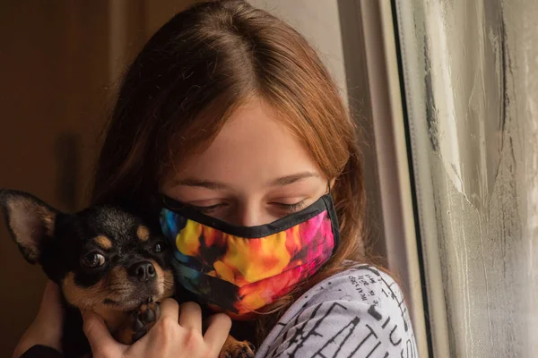 带着吉娃娃从窗户外面出来的女孩 因为她不能出去 生活方式的概念 女孩和狗的验尸犬呆在家里 在病毒感染期间 9岁的女孩带着一只奇瓦瓦犬 Corona病毒 — 图库照片