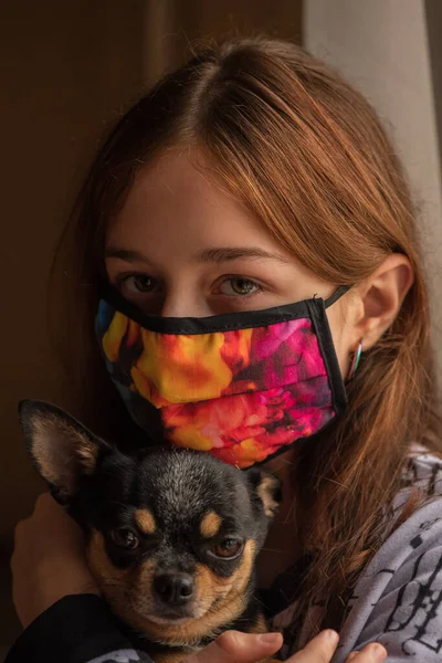 Menina Com Seu Chihuahua Fora Janela Porque Ela Não Pode — Fotografia de Stock