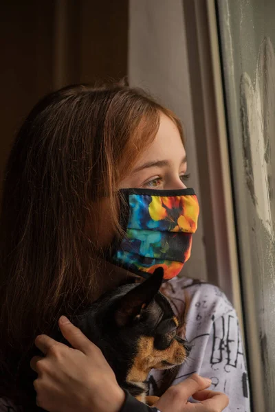 Menina Com Seu Chihuahua Fora Janela Porque Ela Não Pode — Fotografia de Stock