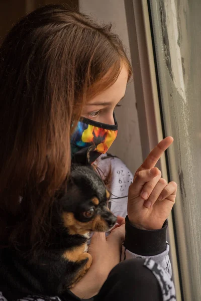 Dziewczyna Chihuahua Oknem Nie Może Wyjść Zewnątrz Koncepcja Stylu Życia — Zdjęcie stockowe