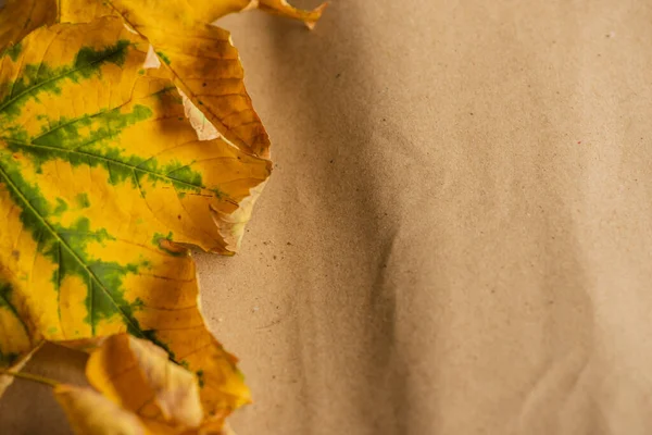 秋シートに残します 紙の背景に紅葉 — ストック写真