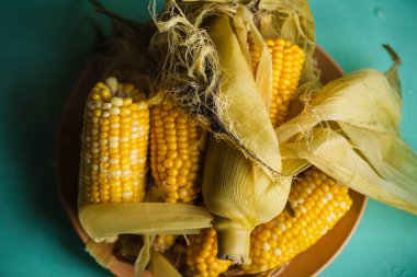 Haşlanmış mısır, porsiyonlu parçalar. Haşlanmış mısır parçaları. Mısır.