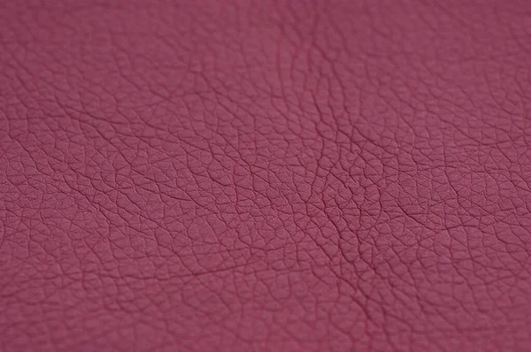 Leather Burgundy Background Burgundy Background Artificial Gray Leather — Stock Photo, Image