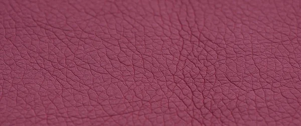 Leather Burgundy Background Burgundy Background Artificial Gray Leather — Stock Photo, Image