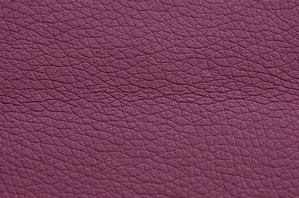 Leather Burgundy Background Burgundy Background Artificial Gray Leather — Stock Photo, Image