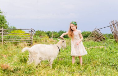 Yazın açık havada küçük bir kızın portresi. Kız ve keçi.