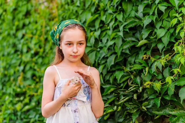 Retrato Niña Aire Libre Verano Una Niña Con Gatito Muy —  Fotos de Stock