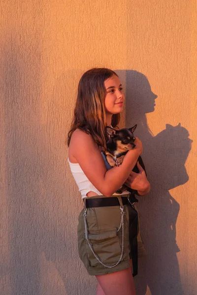 Retrato Hipster Girl Fundo Amarelo Adolescente Com Chihuahua Nos Braços — Fotografia de Stock