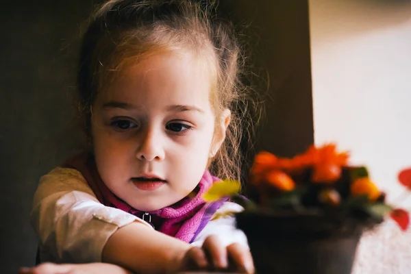 Holčička Sedí Okna Kavárně Dítě Sedí Stolu Slunci Okna — Stock fotografie