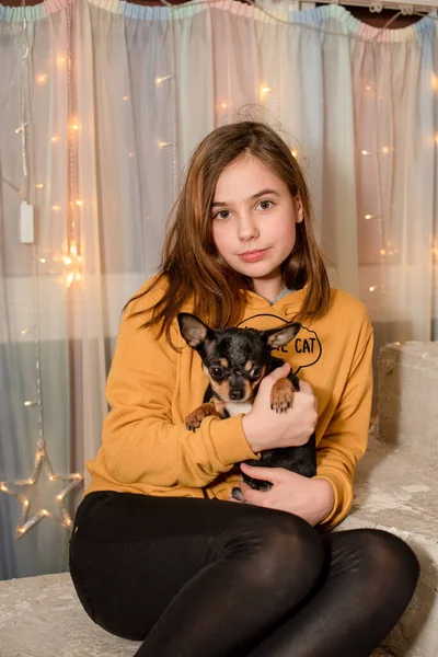 Jonge Vrouw Met Hond Meisje Chihuahua Tiener Meisje Met Een — Stockfoto