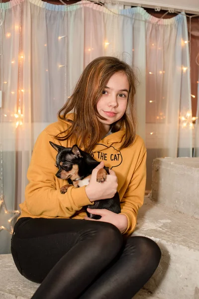 Jovem Com Cão Estimação Menina Chihuahua Adolescente Com Pequeno Cão — Fotografia de Stock