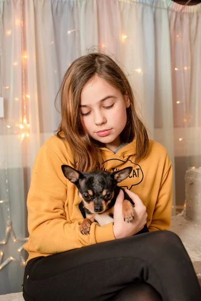 Mladá Žena Psem Dívka Čivava Teenage Dívka Malým Psem Náručí — Stock fotografie