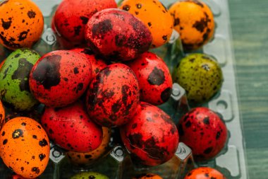 Renkli bıldırcın yumurtaları. Paskalya. Mutlu Paskalyalar. bahar tatili