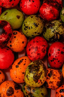 Renkli bıldırcın yumurtaları. Paskalya. Mutlu Paskalyalar. bahar tatili