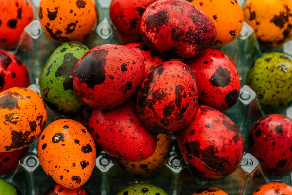 Colored Quail Eggs Easter Happy Easter Spring Holidays — Stock Photo, Image