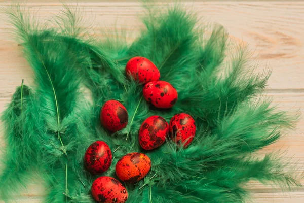 染色鹌鹑蛋和羽毛 春季有机复活节概念染色的复活节彩蛋 鹌鹑蛋 — 图库照片