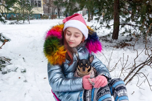 Bella Ragazza Con Chihuahua Sulla Natura Ragazza Adolescente Chihuahua Inverno — Foto Stock