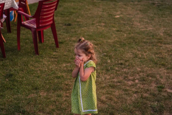 Little Girl Dress Standing Grass Child Girl Two Ponytails Summer — Stock Photo, Image