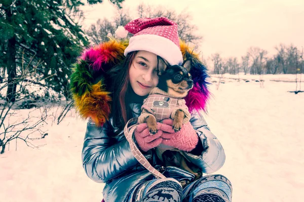 Menina Bonita Com Chihuahua Natureza Menina Adolescente Chihuahua Inverno Rua — Fotografia de Stock