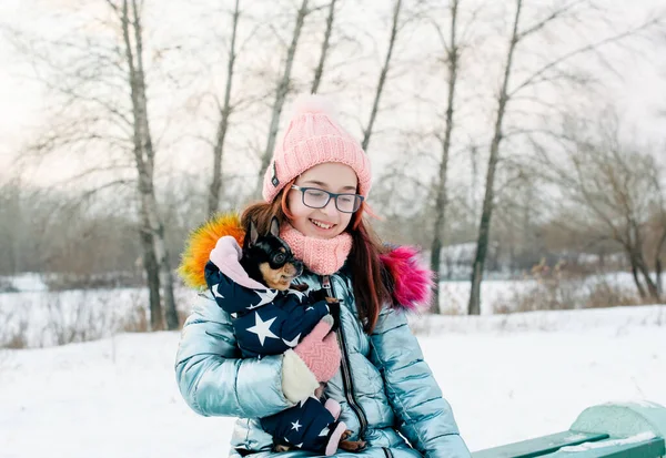 Menina Bonita Com Chihuahua Natureza Menina Adolescente Chihuahua Inverno Rua — Fotografia de Stock