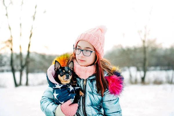 Menina Bonita Com Chihuahua Natureza Menina Adolescente Chihuahua Inverno Rua — Fotografia de Stock