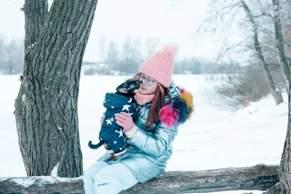 Красива Дівчина Чихуахуа Природі Дівчина Підліток Чихуахуа Взимку — стокове фото