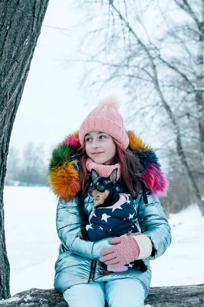 Menina Bonita Com Chihuahua Natureza Menina Adolescente Chihuahua Inverno — Fotografia de Stock