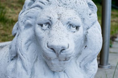 Aslan mimarisi, hayvan, beyaz aslan heykeli. Aslan heykeli.