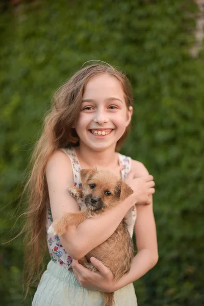 Mała Blondynka Psim Przebraniem Parku Dziewczyna Uwielbia Szczeniaki Pies — Zdjęcie stockowe