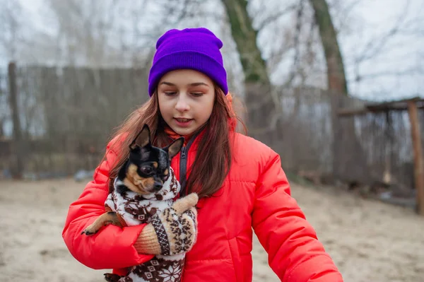 Kız Yaşında Turuncu Ceketli Şapkalı Atkılı Ergen Kız Kız Chihuahua — Stok fotoğraf