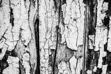 Ahşap dokular arka plan ve ahşap bağlar