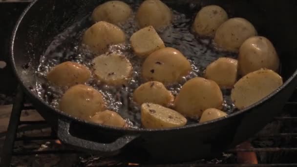 Τηγανητές Πατάτες Πάνω Από Φωτιά Πικνίκ Στη Φύση Φαγητό Ετοιμάζεται — Αρχείο Βίντεο