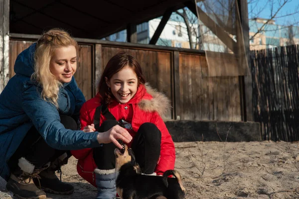 Mom, daughter and their pet chihuahua dog. Love to the animals. Mom and daughter