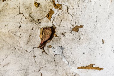 Çizik ve çatlaklarla dolu bir duvar parçası. Eski püskü beyaz duvar