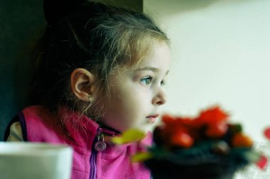 Küçük kız. Pembe kazaklı küçük bir kız. Kız, tatlı, mutluluk