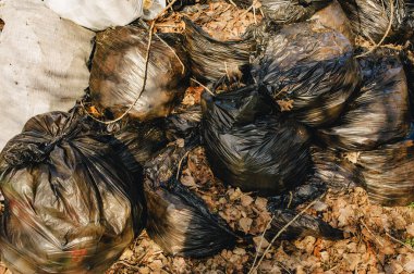 Bahçeden ve bahçeden gelen organik atıklarla dolu bir grup plastik torba. Yapraklı çöp torbaları.