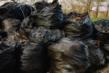Bahçeden ve bahçeden gelen organik atıklarla dolu bir grup plastik torba. Yapraklı çöp torbaları.