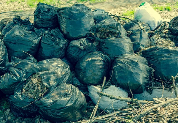 plastic bags filled with organic waste from garden and yard. Garbage bags with leaves. ecology