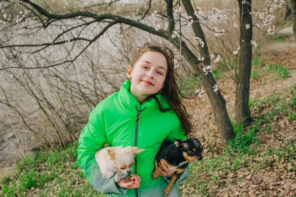 Bella Ragazza Con Due Cani Chihuahua Sulla Natura Adolescente Con — Foto Stock