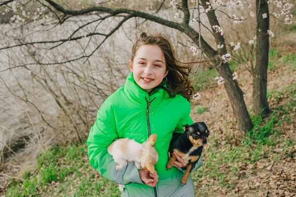 Menina Bonita Com Dois Cães Chihuahua Natureza Adolescente Com Dois — Fotografia de Stock