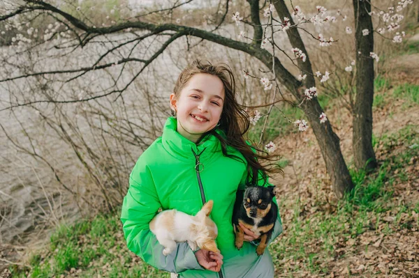 Bella Ragazza Con Due Cani Chihuahua Sulla Natura Adolescente Con — Foto Stock