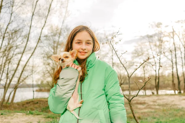 Nastolatka Chihuahua Dziewczyna Zielonej Kurtce Szczeniakiem Ramionach Chihuahua Pies Dziewczyną — Zdjęcie stockowe