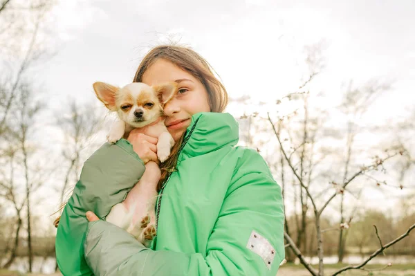 和奇瓦花在一起的少女穿着绿色夹克 怀里抱着小狗的女孩 奇瓦瓦犬与女孩 — 图库照片