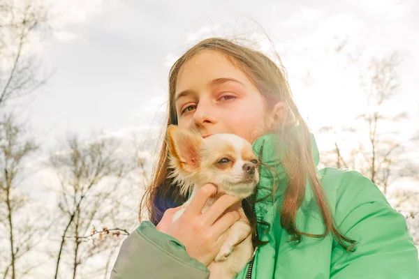 和奇瓦花在一起的少女穿着绿色夹克 怀里抱着小狗的女孩 奇瓦瓦犬与女孩 — 图库照片