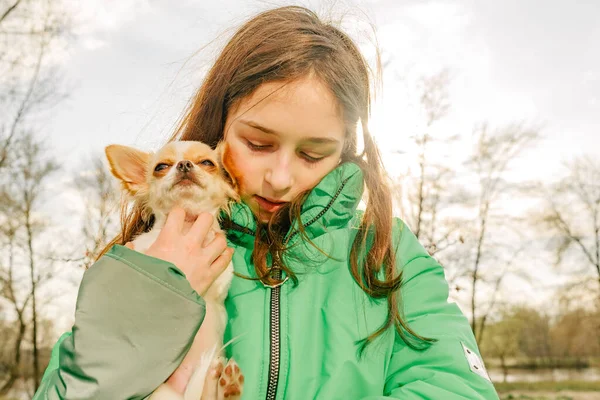 和奇瓦花在一起的少女穿着绿色夹克 怀里抱着小狗的女孩 奇瓦瓦犬与女孩 — 图库照片