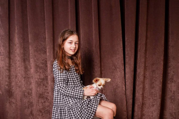 Κοριτσάκι Σκύλο Τσιουάουα Φιλίες Παιδιών Και Κατοικίδιων Κορίτσι Κουταβάκι Τσιουάουα — Φωτογραφία Αρχείου